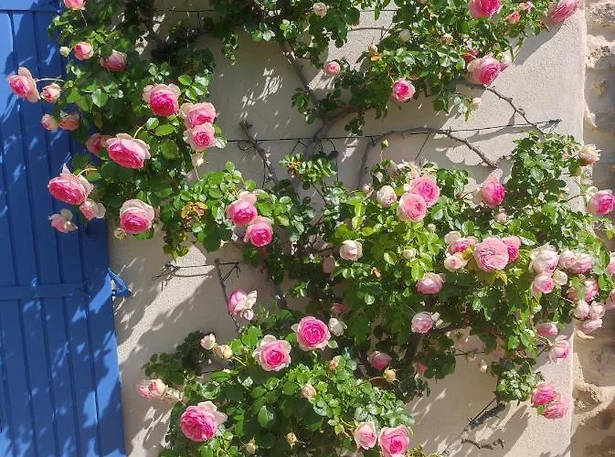 فندق مبيت وإفطار Mas De Manon Valréas